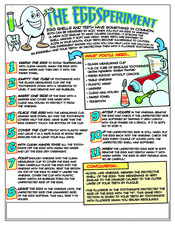 EggSperiment activity sheet - Pediatric Dentist in Westfield, NJ